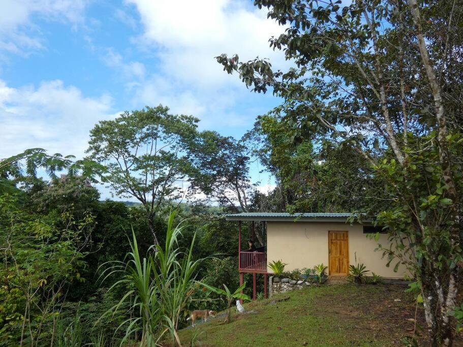 Drakes BayTapiru'S House - Bahia Drakeアパートメント エクステリア 写真