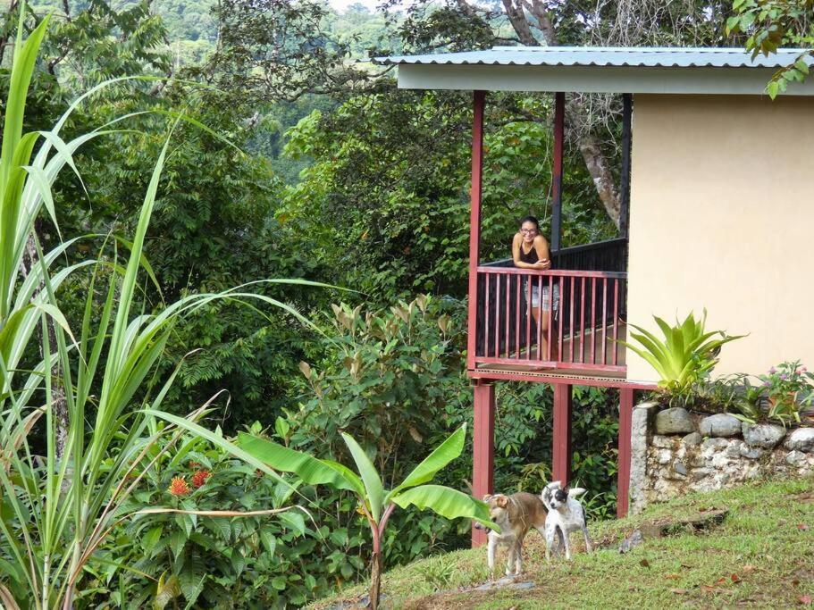 Drakes BayTapiru'S House - Bahia Drakeアパートメント エクステリア 写真